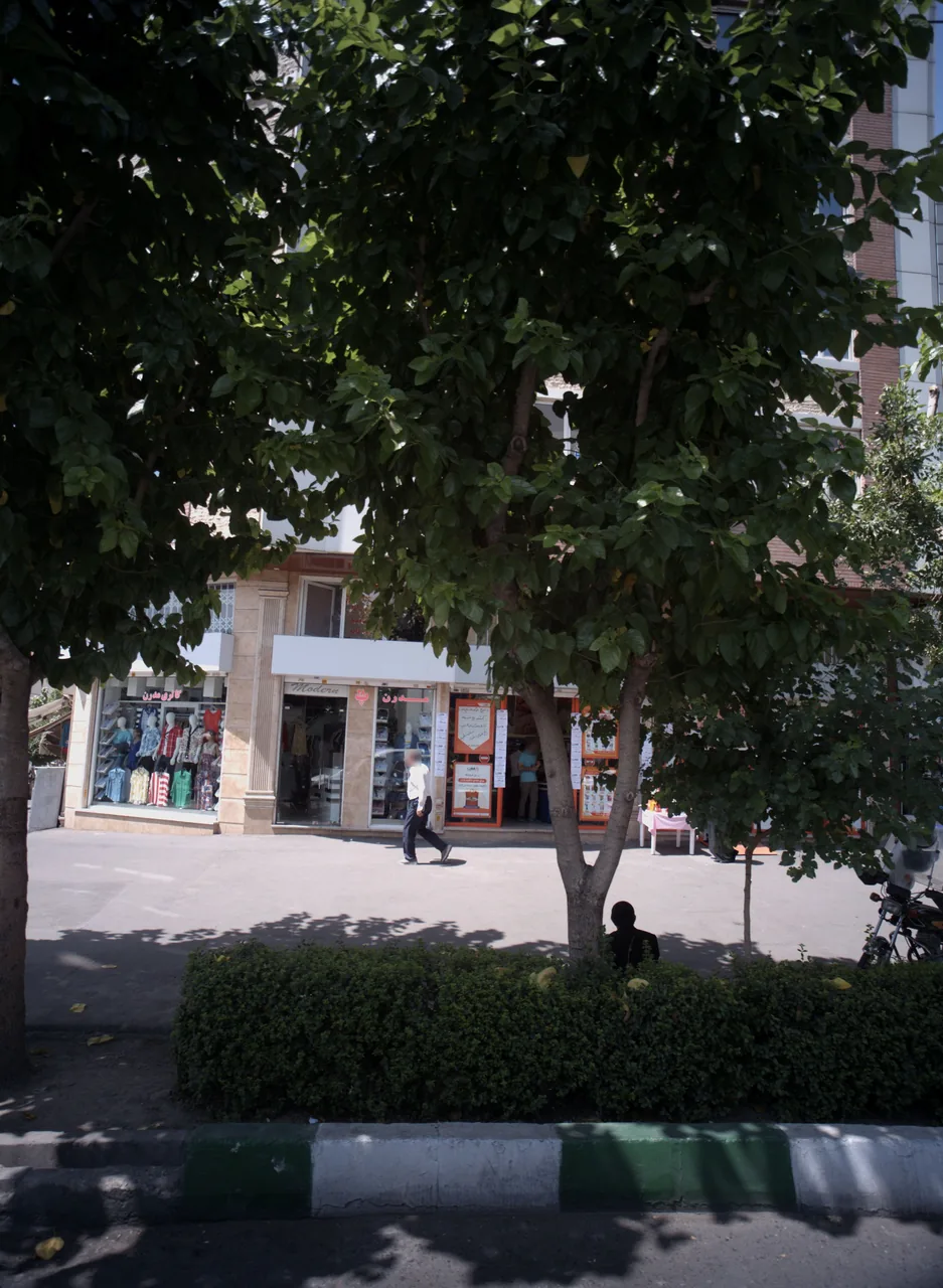 گالری مدرن