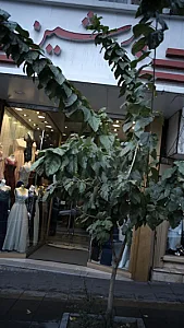 بوتیک پرشین