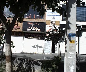 جوراب بلوط
