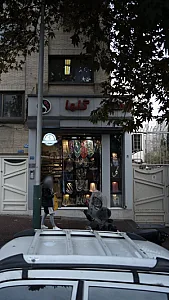 شال و روسری گلها