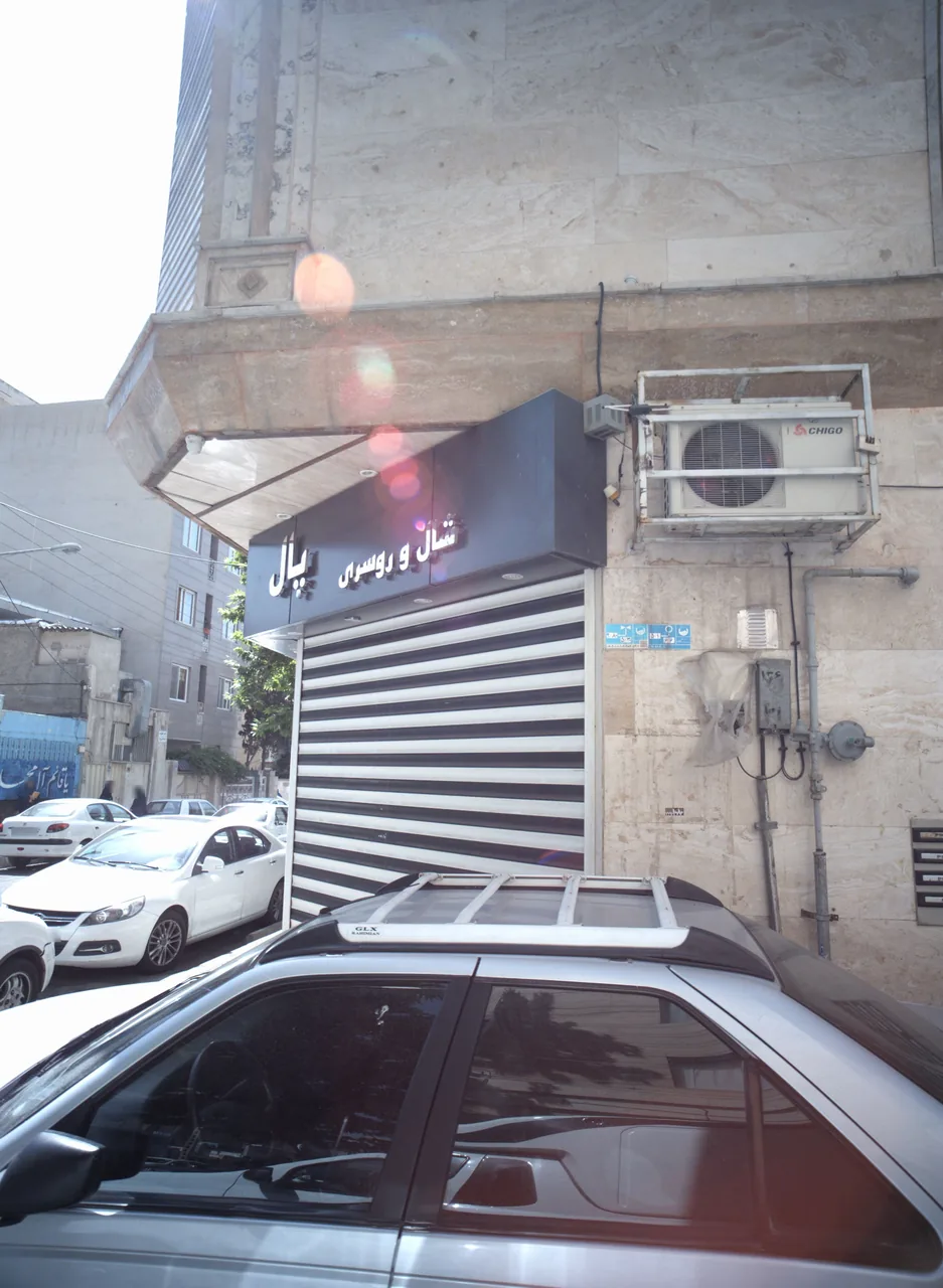 شال و روسری پال
