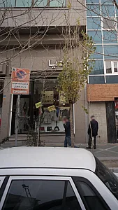 مدیا