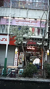 تولیدکننده انواع شلوار زنانه تِریتی
