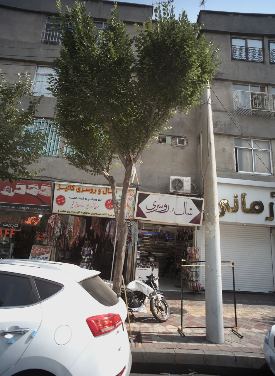 شال و روسری کانیز