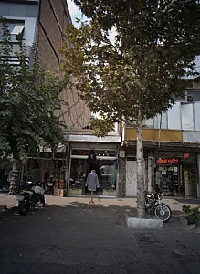 گالری سی سی
