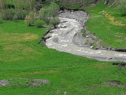 آموزشگاه آزاد هنری ساو - تصویر 2