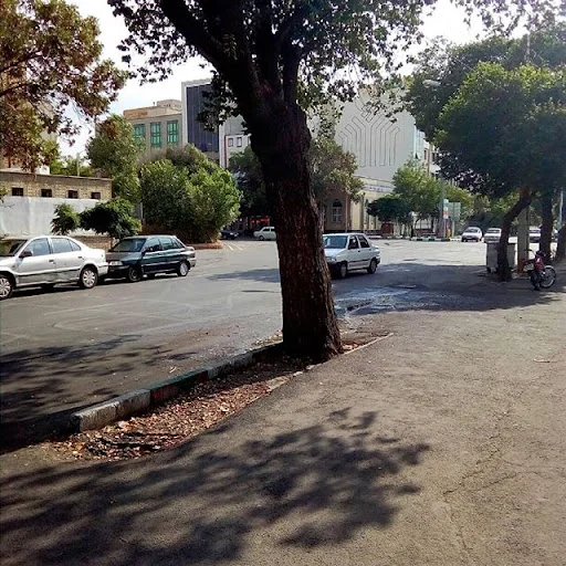 آموزشگاه آزاد هنری ساو - تصویر 3