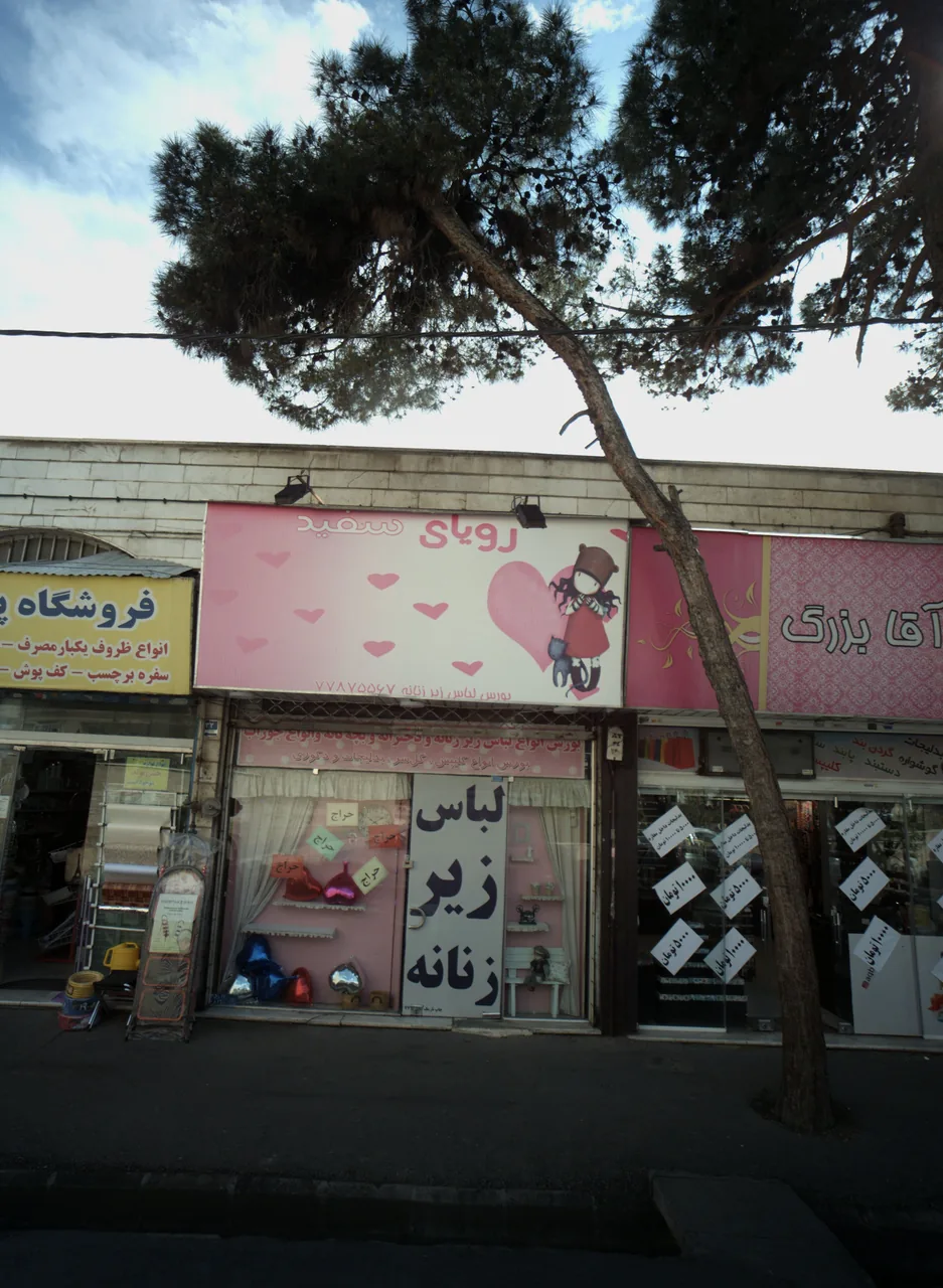 رویای سفید