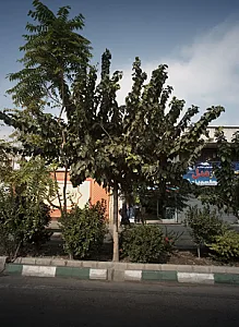 فروشگاه پوشاک