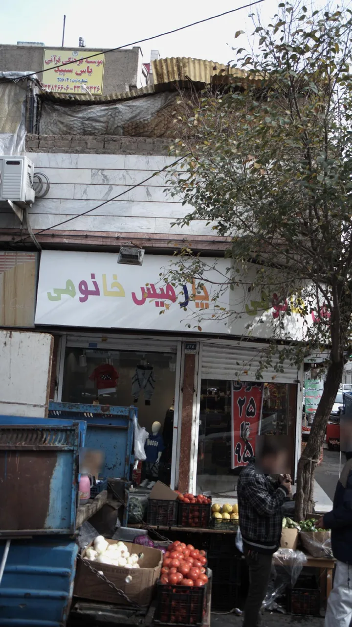 پارمیس خانومی - تصویر 2