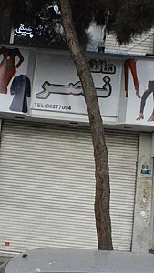 مانتو نصر