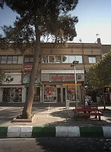 تخت جمشید