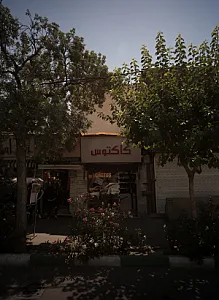 کاکتوس