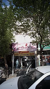 بانوی شهر