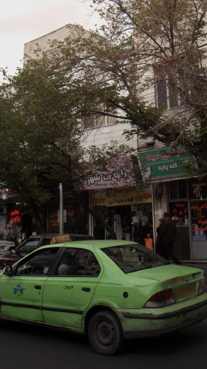 بانوی شهر - تصویر 2