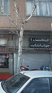 فروشگاه شماره ۱ جوراب استارلایت