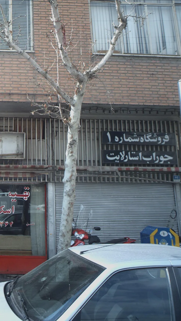 فروشگاه شماره ۱ جوراب استارلایت