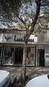 سالسا