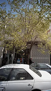 پوشاک بدر