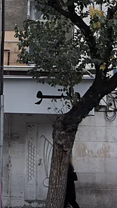 مانتو