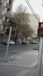 مانتو آویشن