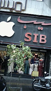 سیب