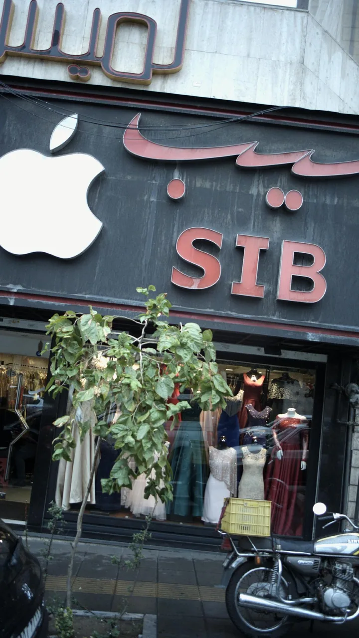 سیب
