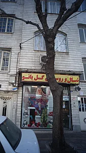 شال و روسری گل بانو