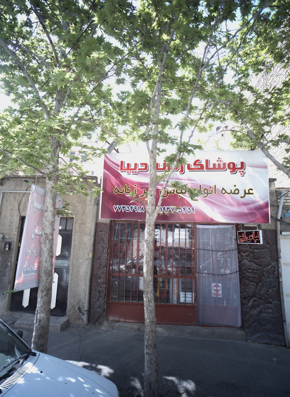 پوشاک زنانه دیبا