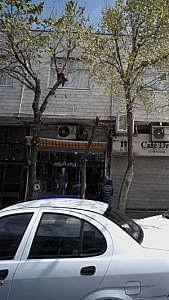 پوشکاک اکبر زاده