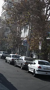 پوشاک دیپلمات