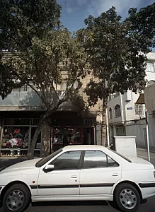 فروشگاه پوشاک