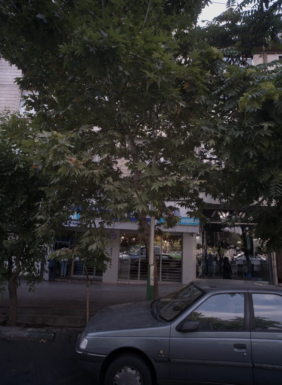فروشگاه پوشاک