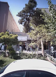پوشاک بچگانه فندق