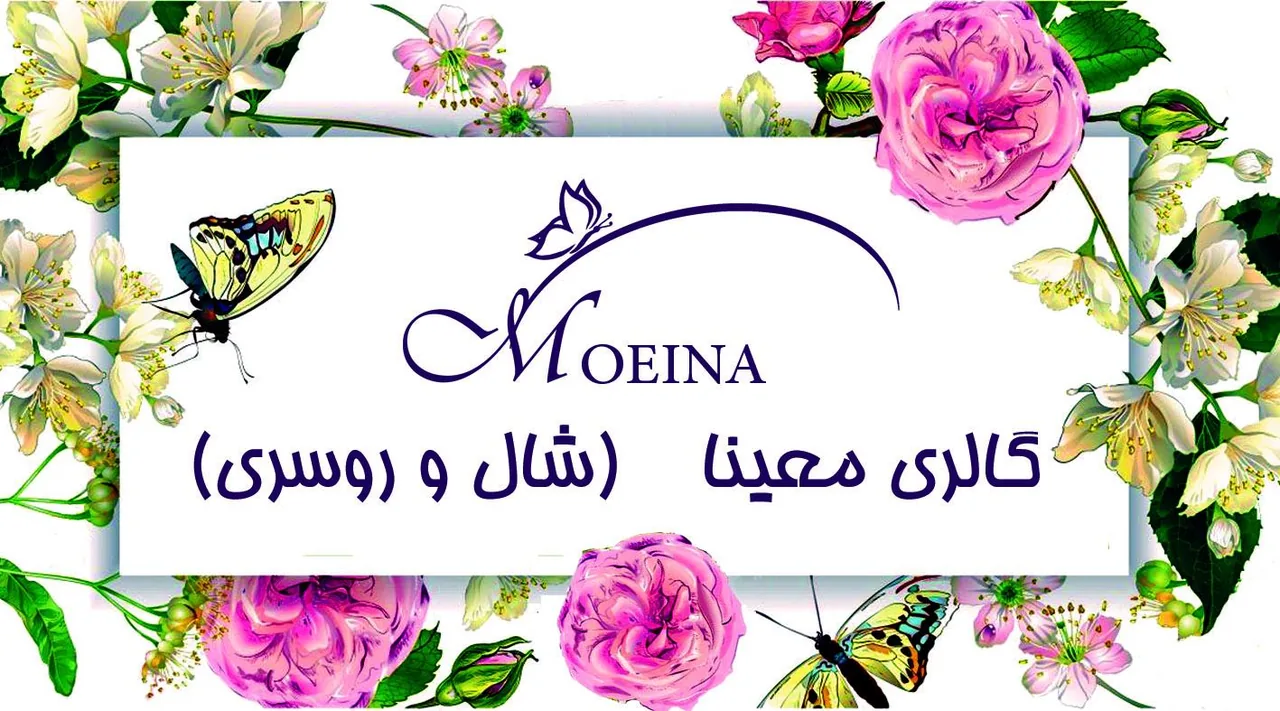گالری شال و روسری معینا - تصویر 2