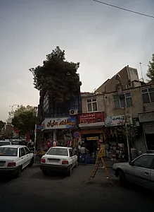 شال و روسری پرنس