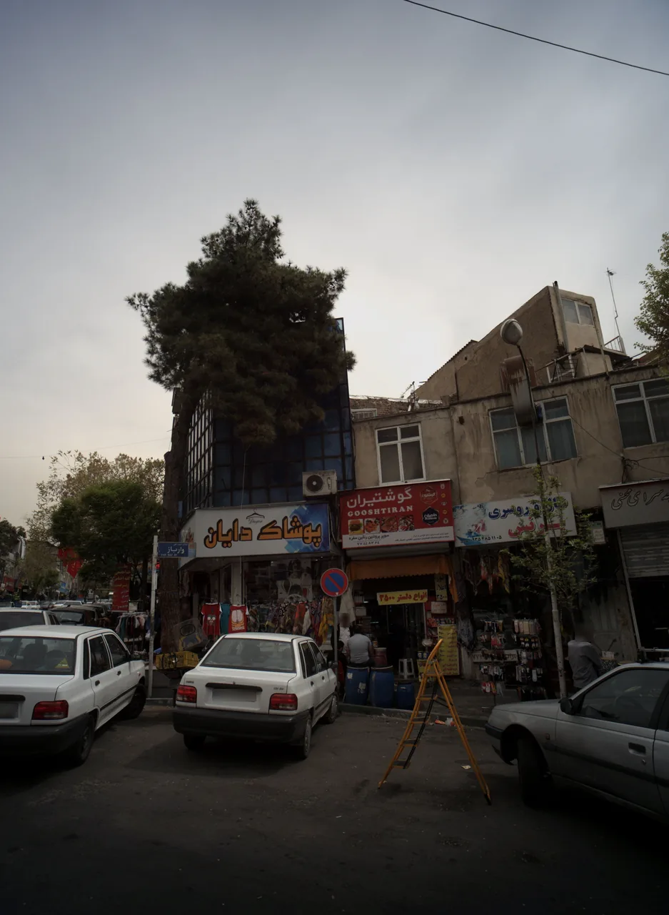 شال و روسری پرنس