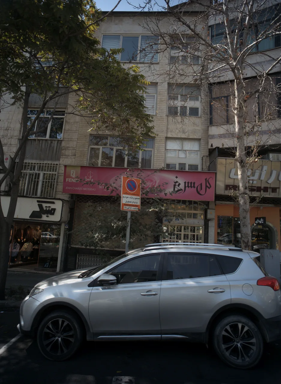 گل سرخ