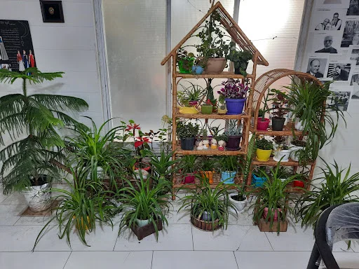 آکادمی هنر طهورا