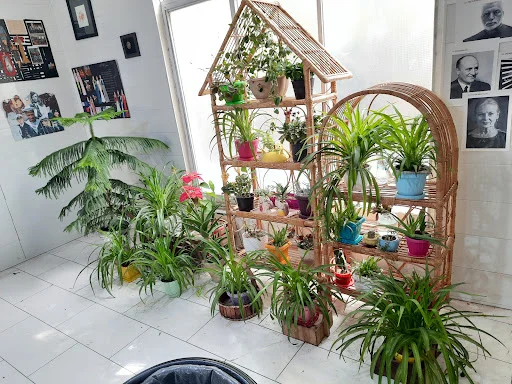 آکادمی هنر طهورا