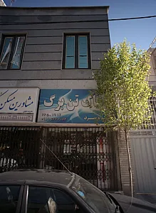 پوشاک تن برگ