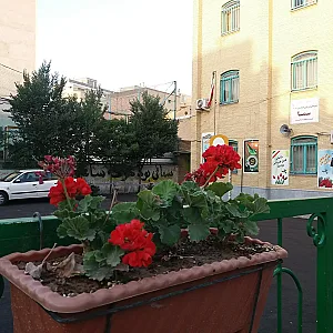دبیرستان پسرانه سما