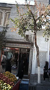 پوشاک جوان