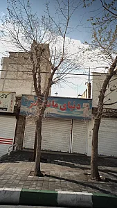 دنیای مانتو هنر