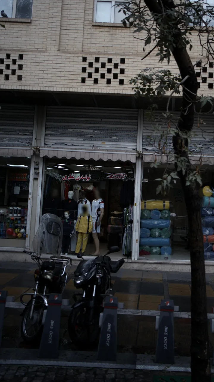 تولیدی نظری