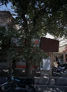گل بانو