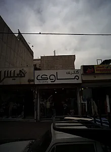 گالری ماوی