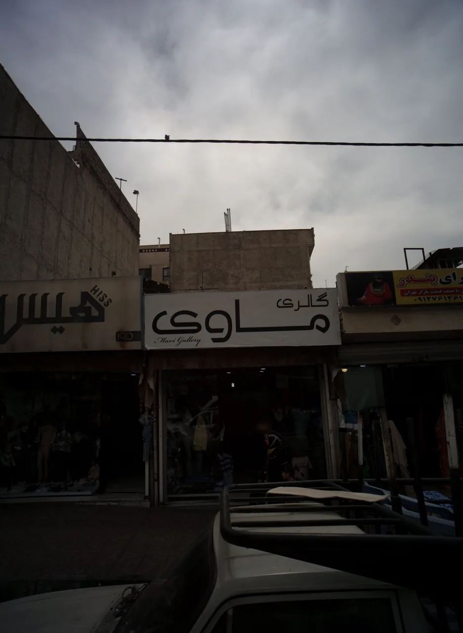 گالری ماوی