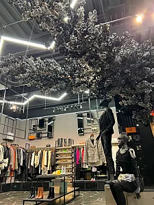 گالری می لوکس