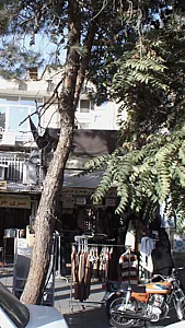 انواع پوشاک زنانه مردانه